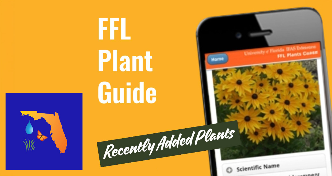 FLL APP