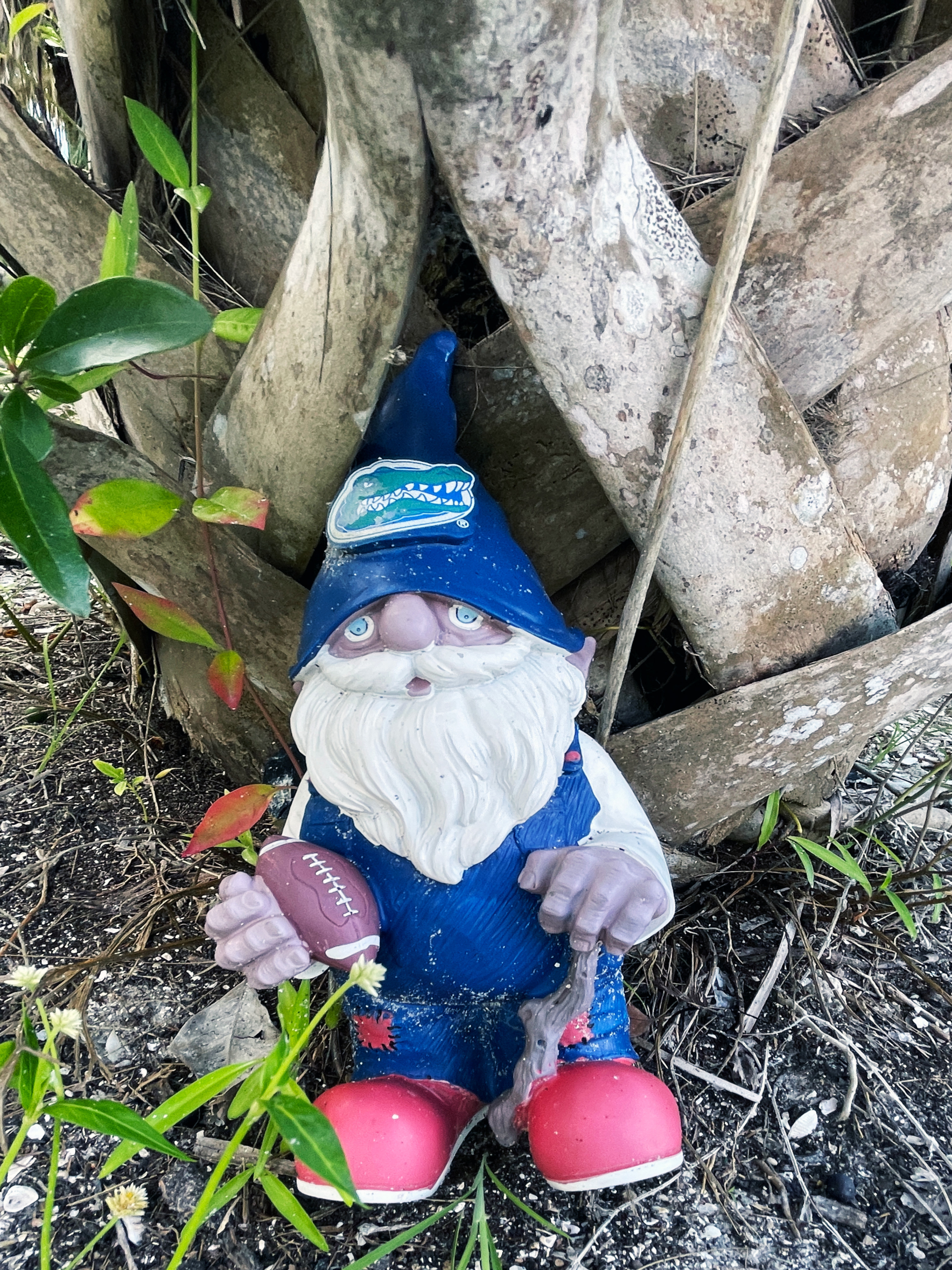 Gator Fan Gnome