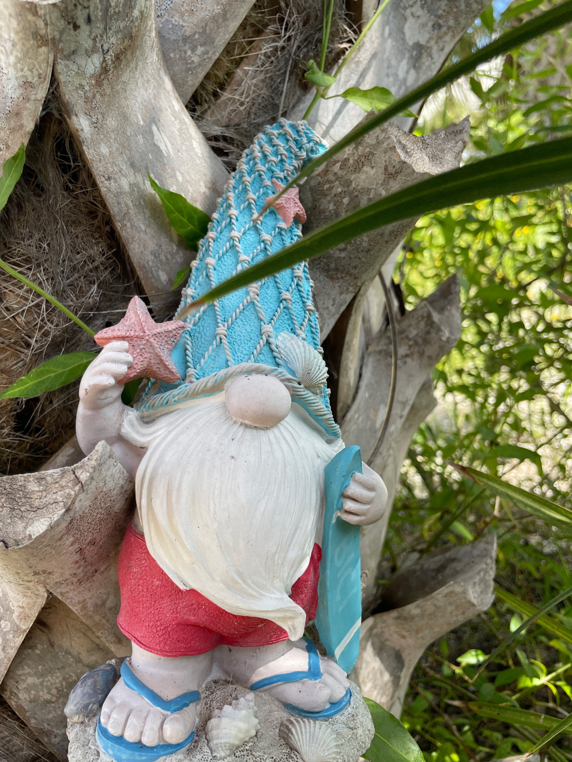 Gnome Starfish