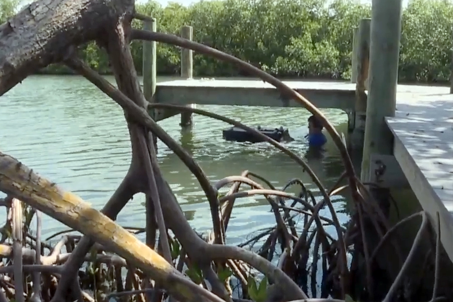 Mini reef install dock