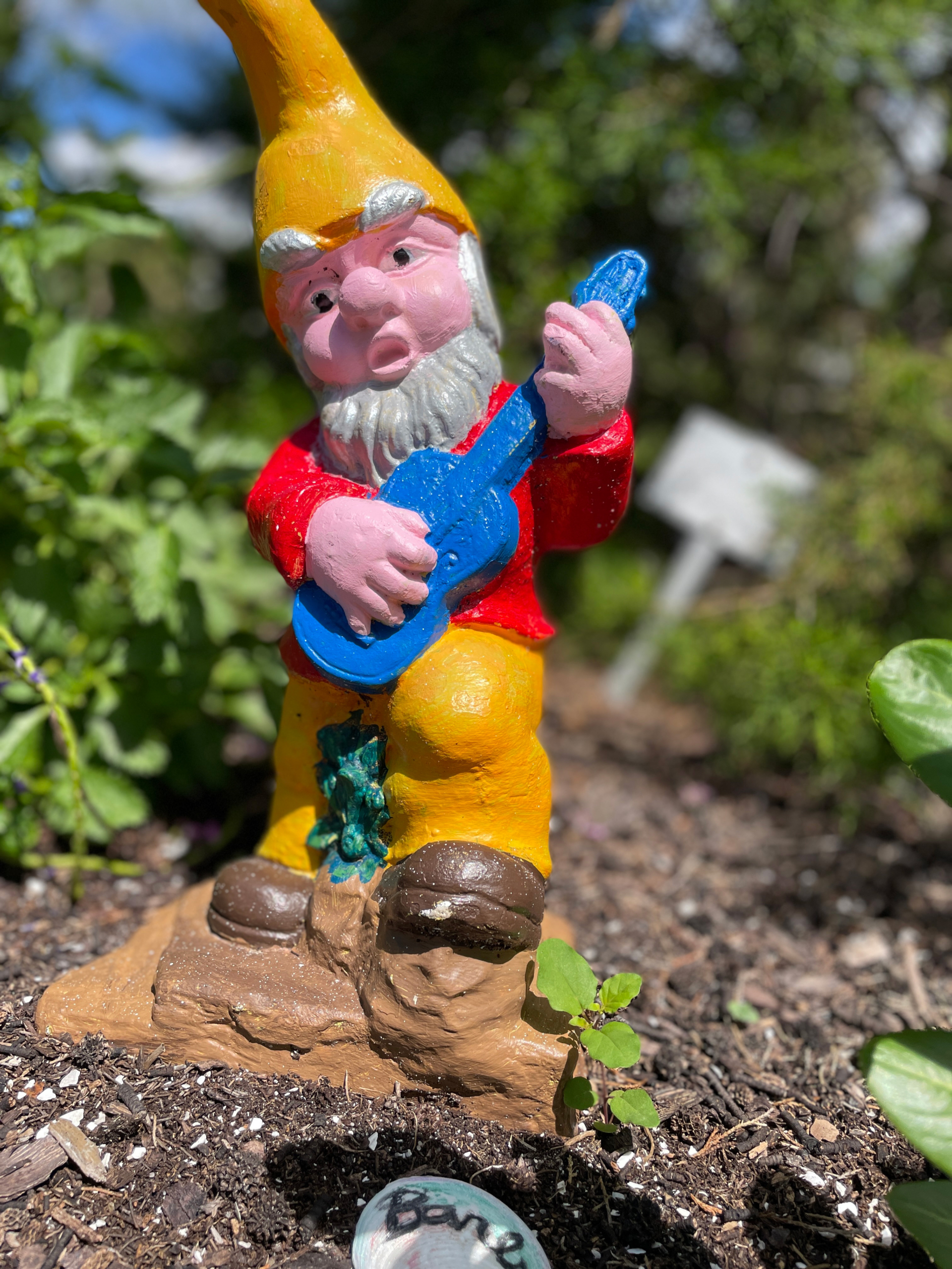 Rocking Gnome