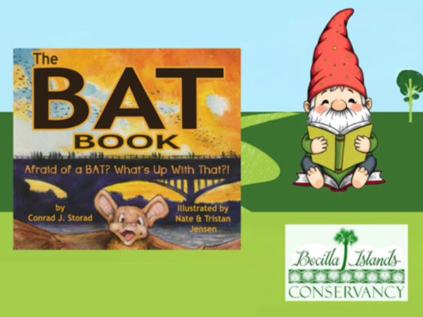 story stroll bat book